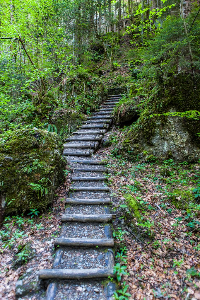 Bürser Schlucht by GeoTravelPhoto