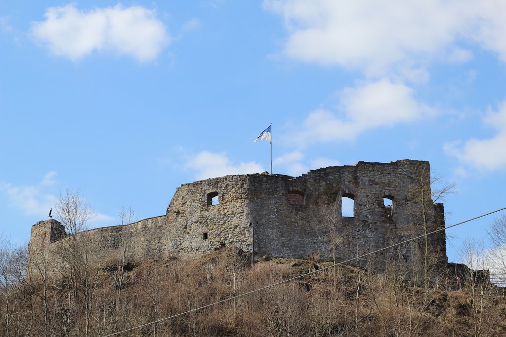 Burgruine Polle by C.Butterbrodt