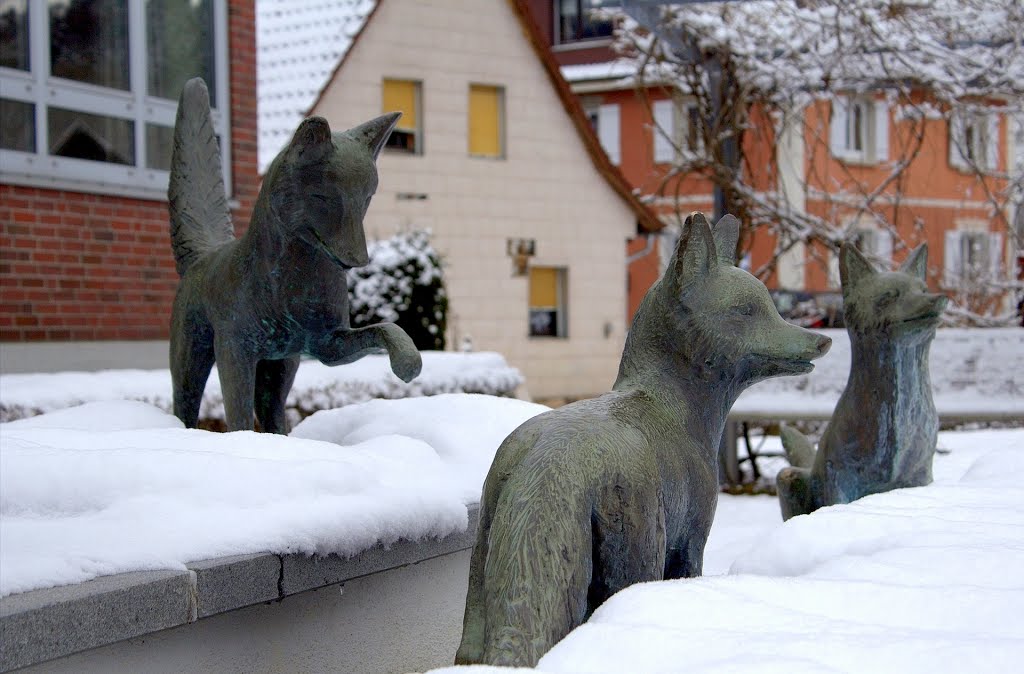 "Füchse" beim Dorfgemeinschaftshaus Untersiggingen / Deggenhausertal, Bodenseekreis, Baden-Württemberg by Dachsbracke