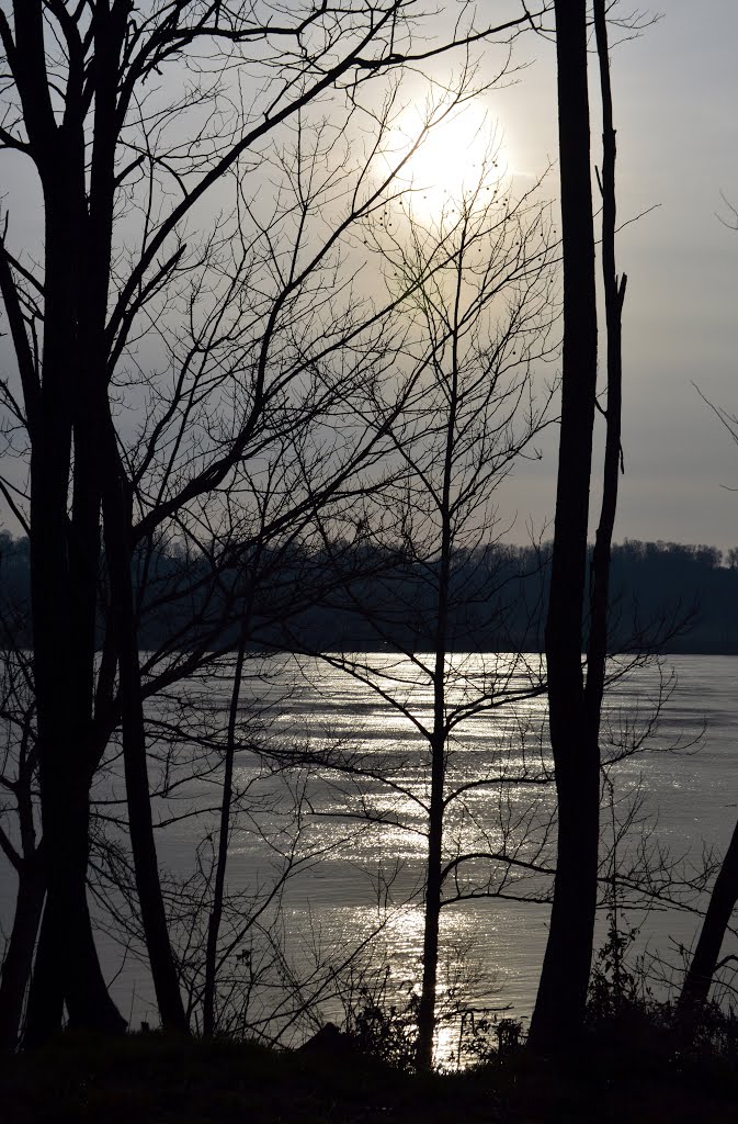 Morning Sun on the Ohio River by bnj47130