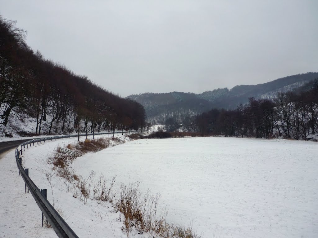 Schneelandschaft im Felderbachtal (Hattingen) / 20.01.2013 by Iceman93 / NO VIEWS!!!