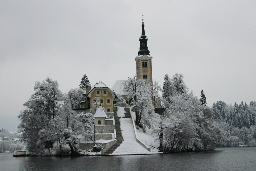 Isola sul Lago di Bled by Silvano Rossi