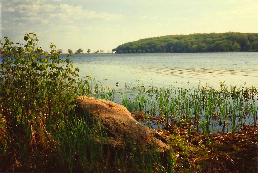 The Pond at Fairhaven Beach State Park Sterling NY by Geraldine Clark