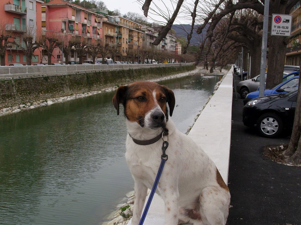 Romeo a rapallo.. by lucapettine