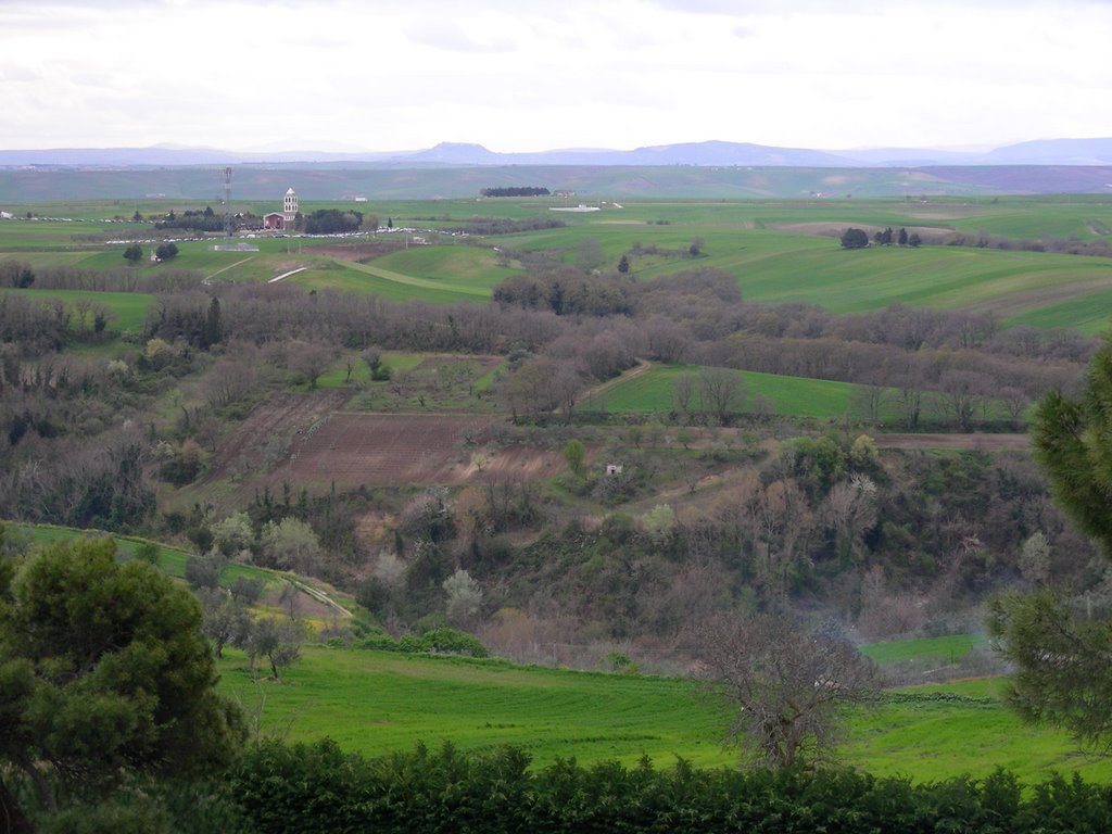 MADONNA DEL BOSCO by fabio lovaglio