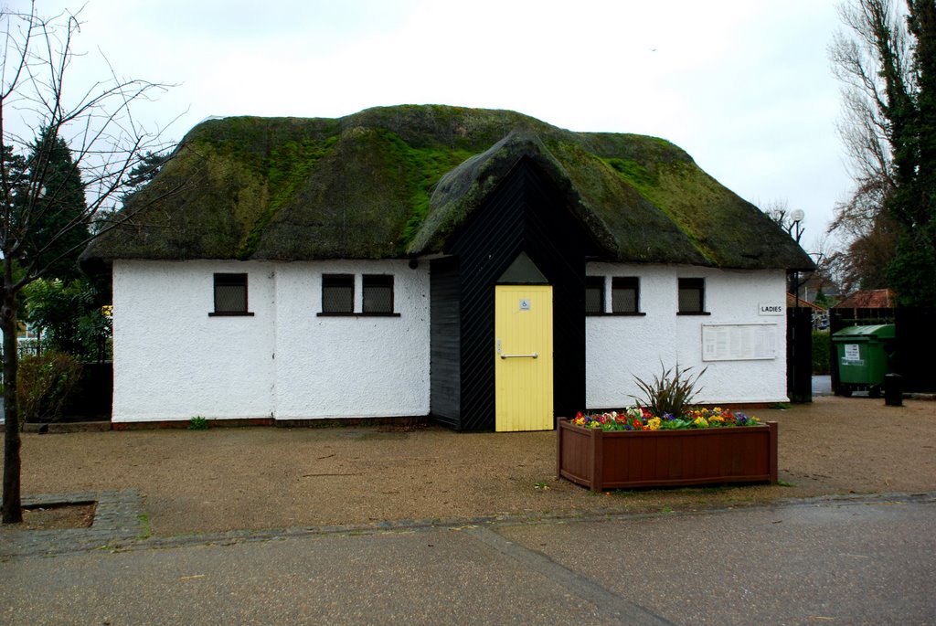 Even the Public Toilets are thatched by Mike Hartland