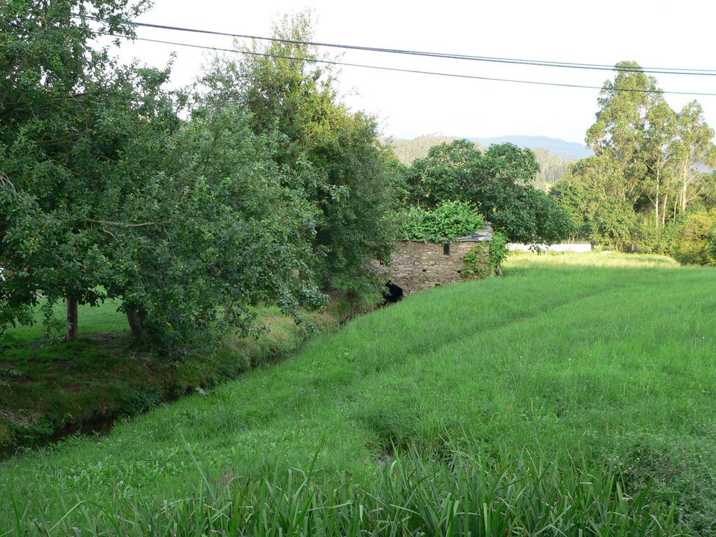 Paisaje Rural en Vilanova de Lourenza by © xeima