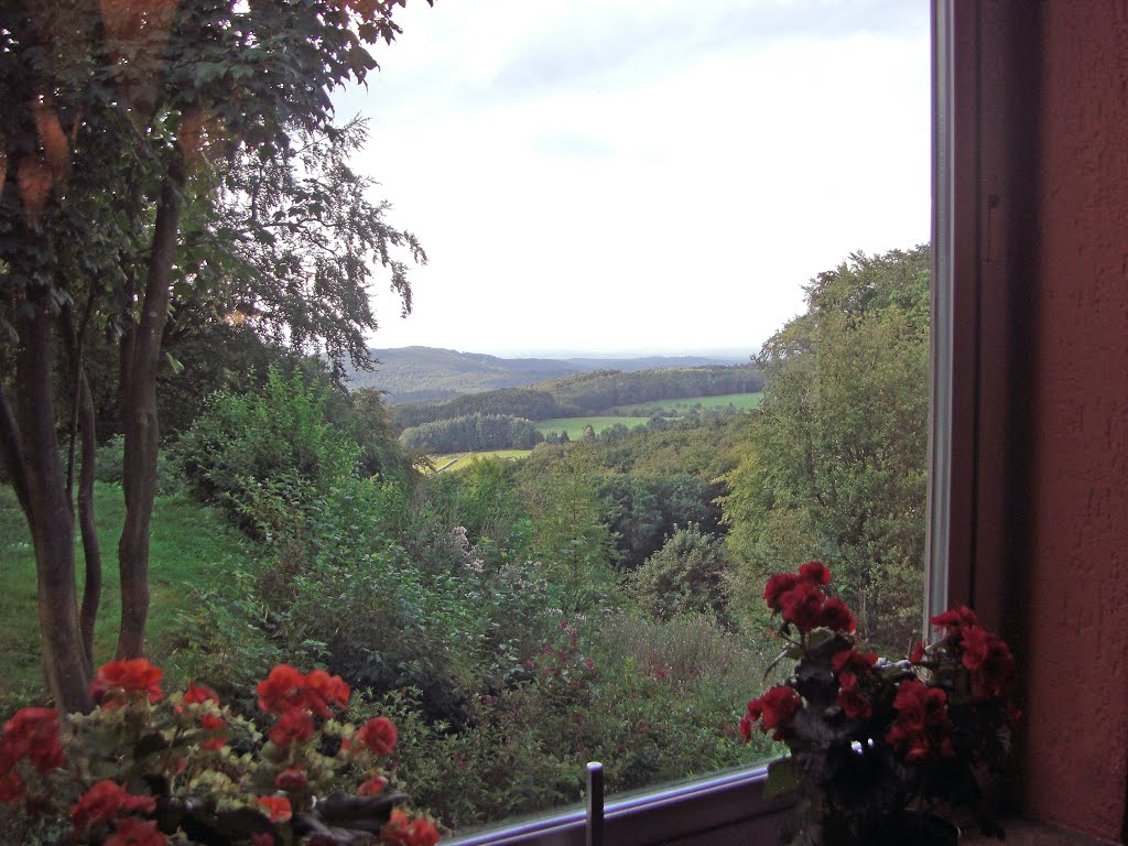 Lautertal, Felsberg-Restaurant ADA's BUKA by orgwin.