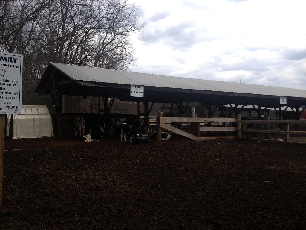 Great Brook Farm State Park. Carlisle, MA by cyroos rahravan