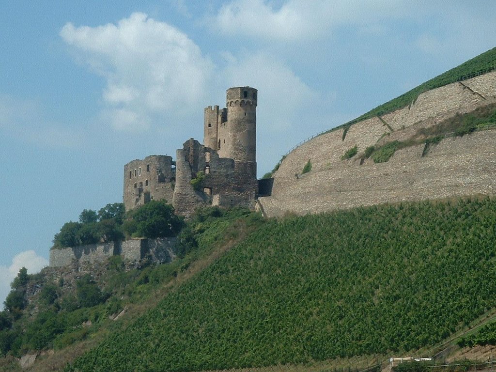 65385 Rüdesheim am Rhein, Germany by guy séculier