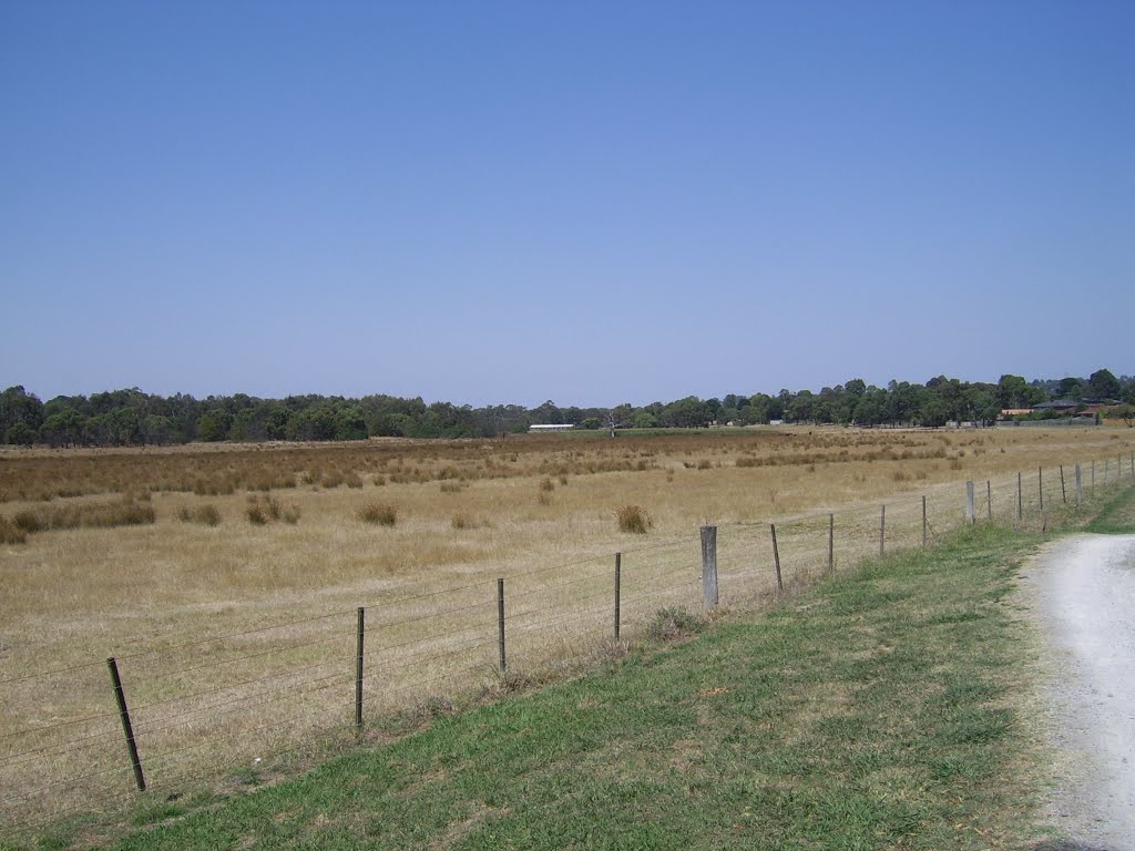 Floodplain by the Dandenong Creek by VICPhotoSurvey