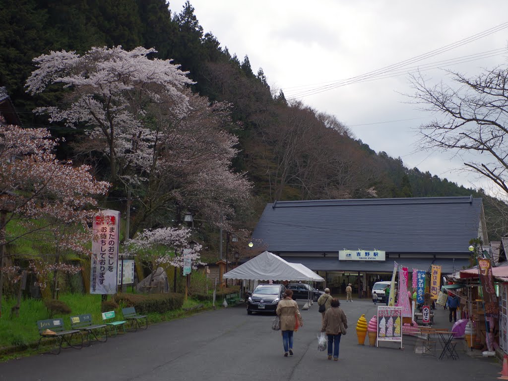 近鉄吉野線 吉野駅 Yoshino station 2013.4.03 by as365n2