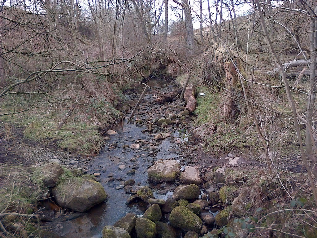 View From Bridge, Wardend Road, Torrance by TheScratchyPig