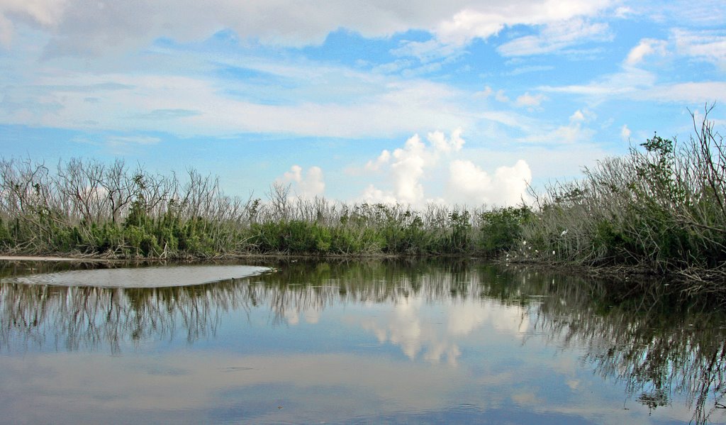 Everglades - Mrazek Pond by MsticAzn