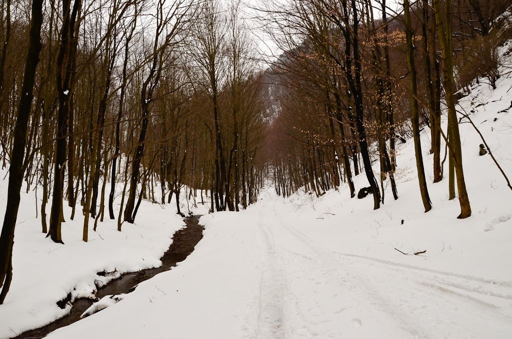 Plavecký Mikuláš, Mokrá dolina by Etena