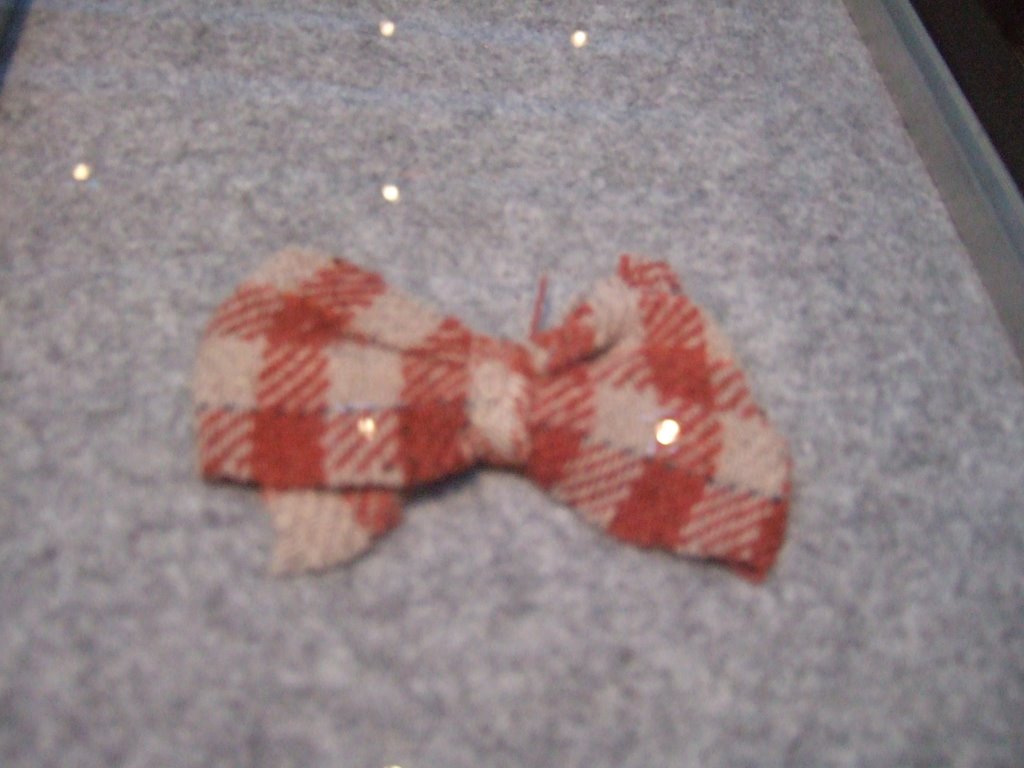 Soviet Special Camp Museum: Bow made from inmates' dress- Ailsa Lawson 22/01/08 by ailsalawson