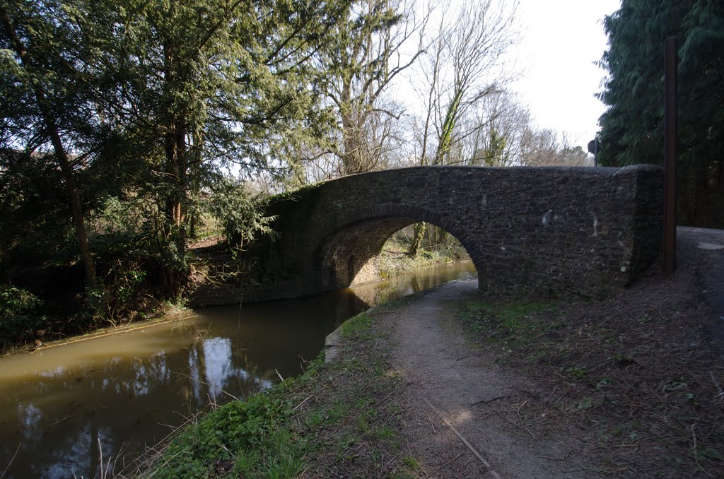 31 Malpas Court Bridge by Lee Bolton