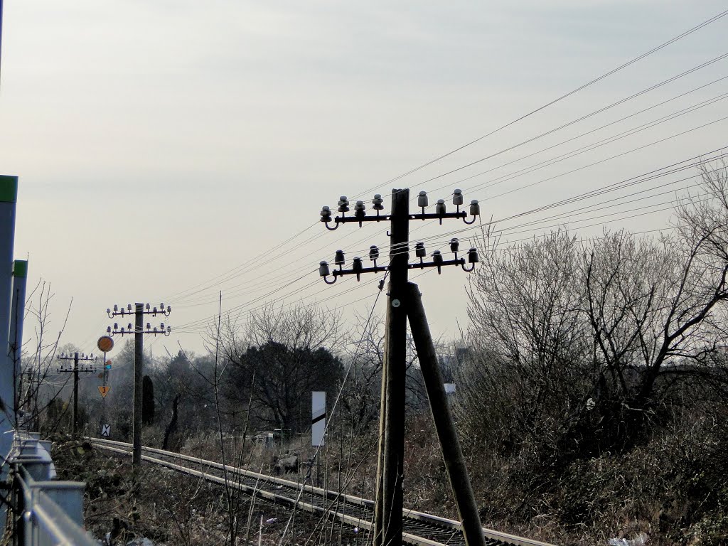 Einfahrvorsignal SZ Lebenstedt by bke