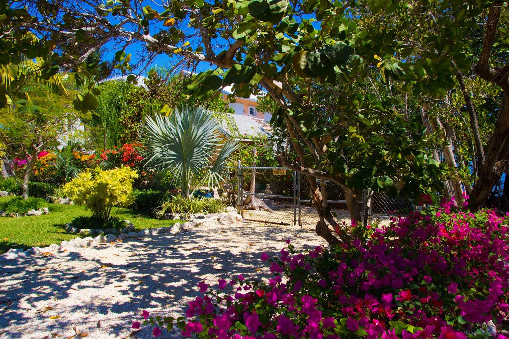 Key Largo: Flowers + plants ... by rheingold