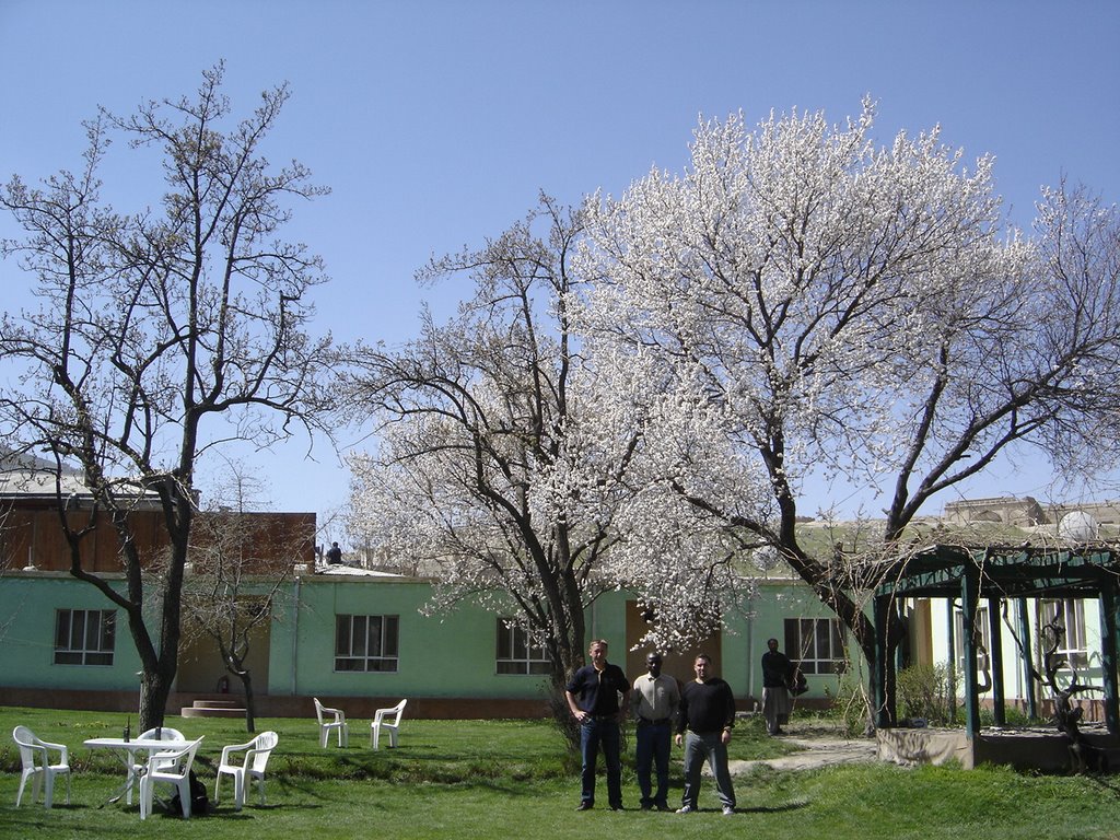 Together with 2 colleagues in Kabul by Alin Valentin Dragan