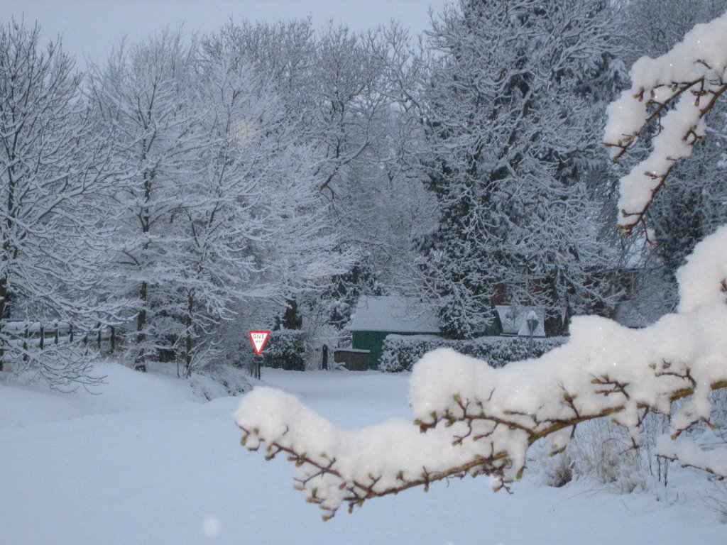 Easter snow - Bishop Wilton 2008 by Simonwp