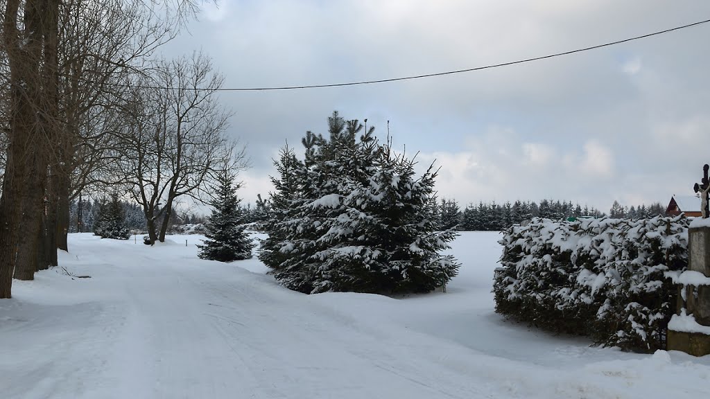 Polní cesta, Suchý by ivan23cz