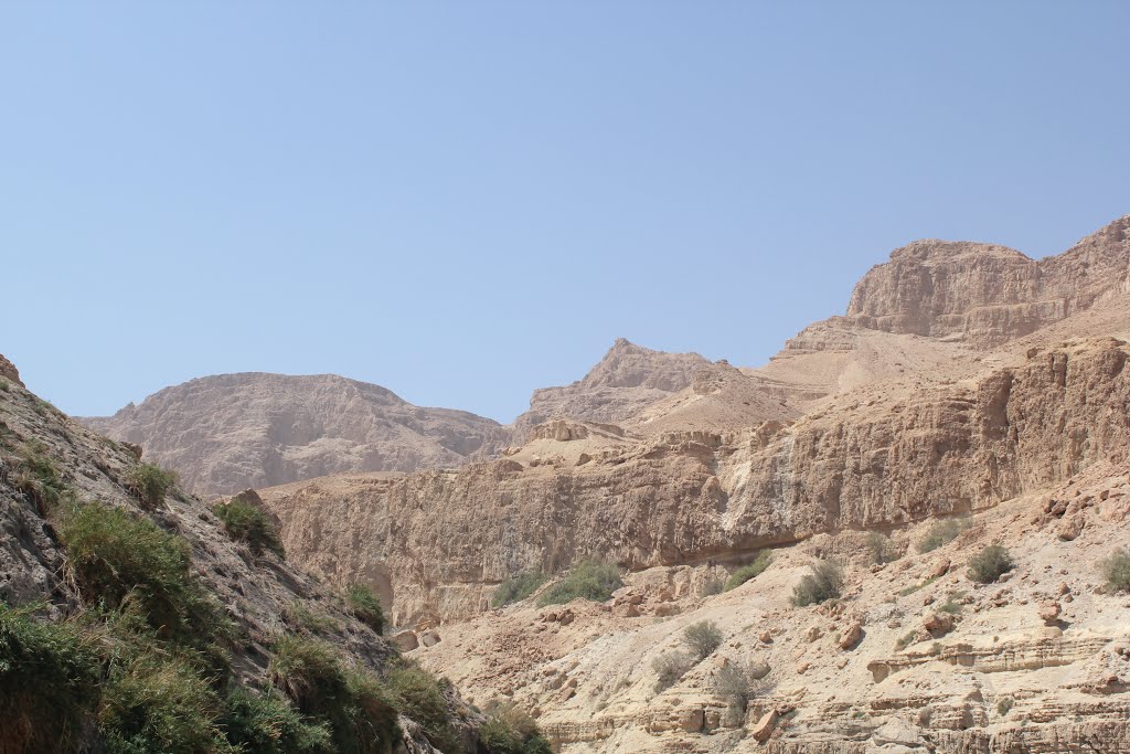 Mystic Judaean mountains of Ein Gedi by Genet