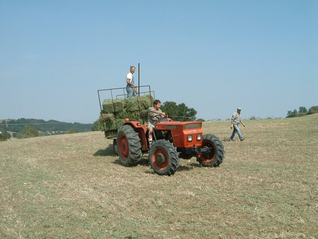 Lavori Agricoli by saralosi