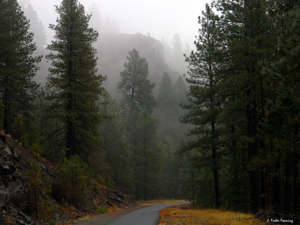 Golden Pathway Railtrail, Republic WA by Foster Fanning