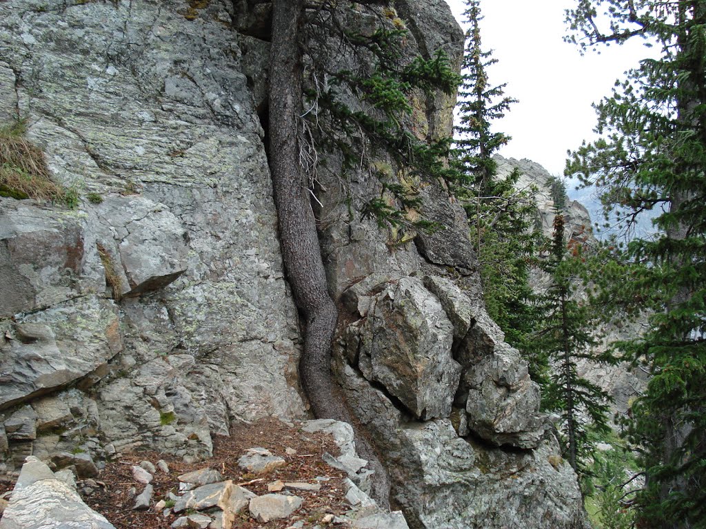 Along Static Divide Trail, Grand Teton NP by backpacker2004