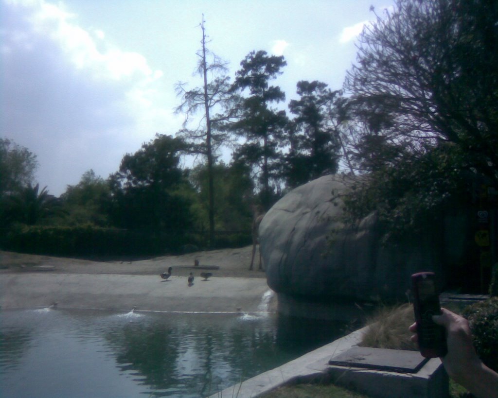 Zoo Chapultepec 07 by virgomeg