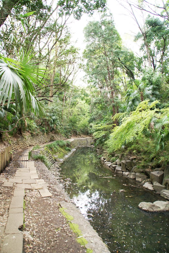 Todoroki Valley, Todoroki, Tokyo (等々力渓谷、等々力、東京) by Lesbourgeons