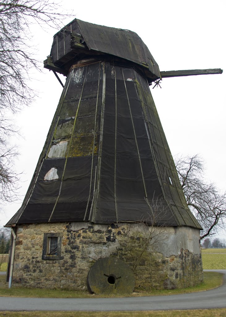 Holländer-Windmühle in Dreyen by Emma10