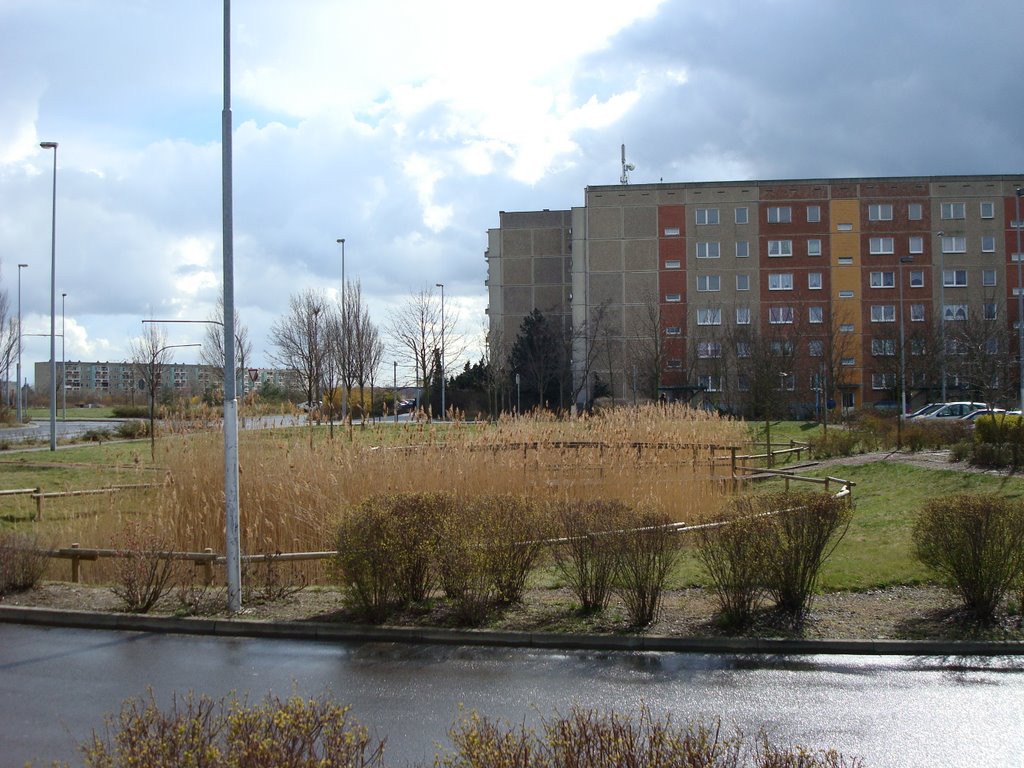 Wolfen, Bitterfeld-Wolfen, Germany by Bruzzler