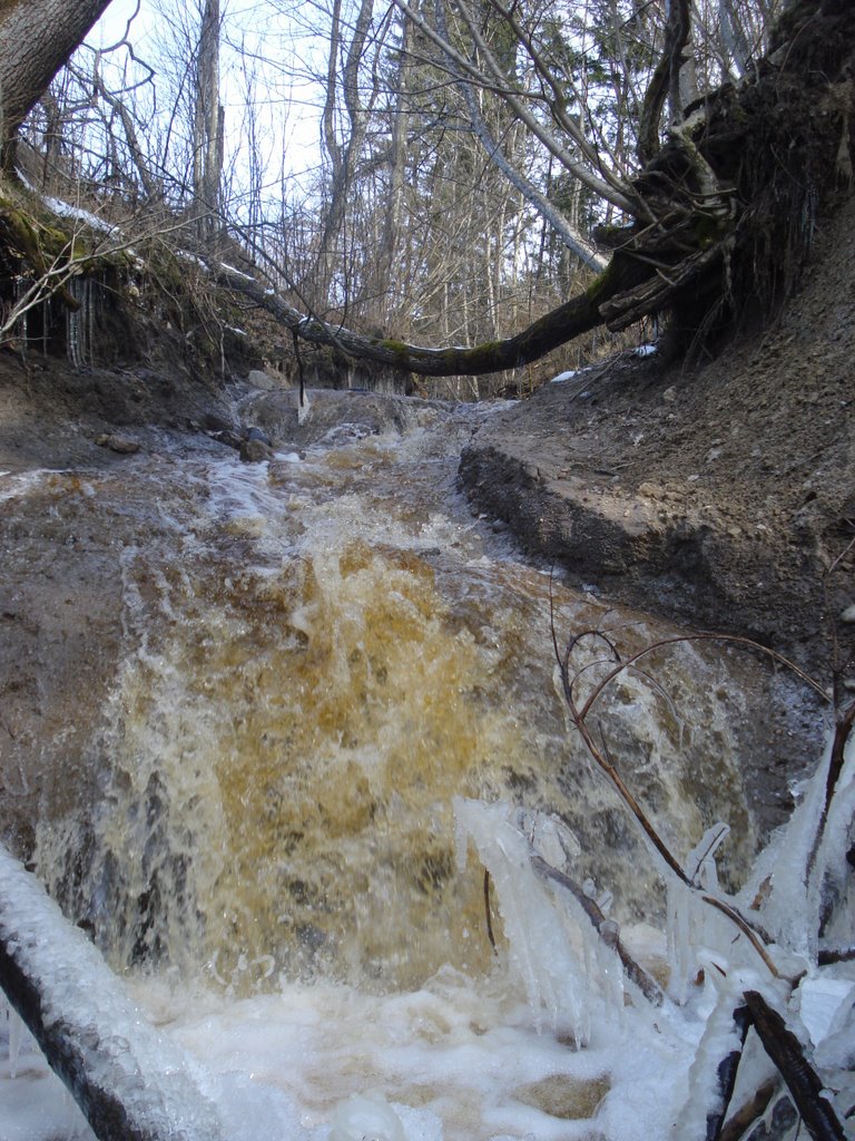 Dūkupju ūdenskritums (Waterfall Dukupju) by Māris Ostelis