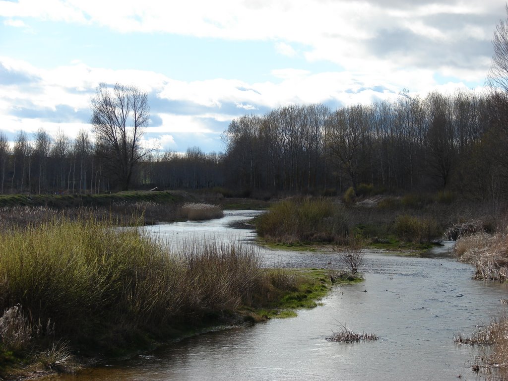 Rio abajo (Abia de las Torres) by laura&paula