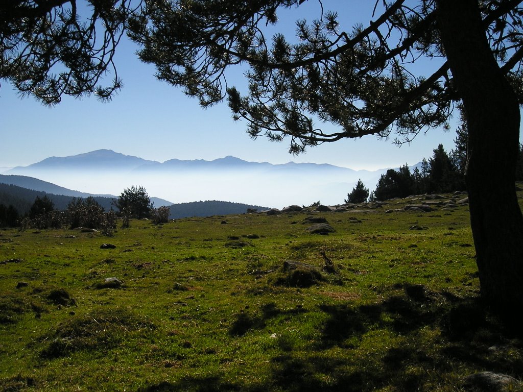 Cap a la cerdanya by torreneules