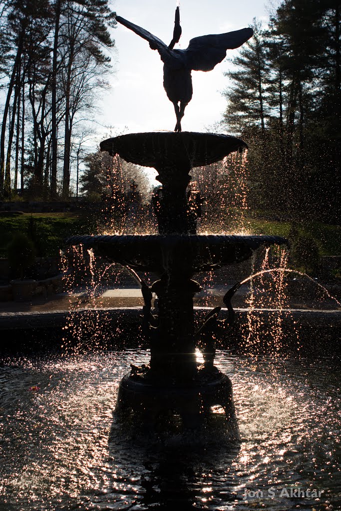 Silhouette of Fountain by sylvanaar