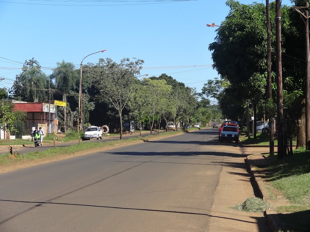 Avenida San Martín desde Av. Blas Parera hacia el sur. by chaporriste