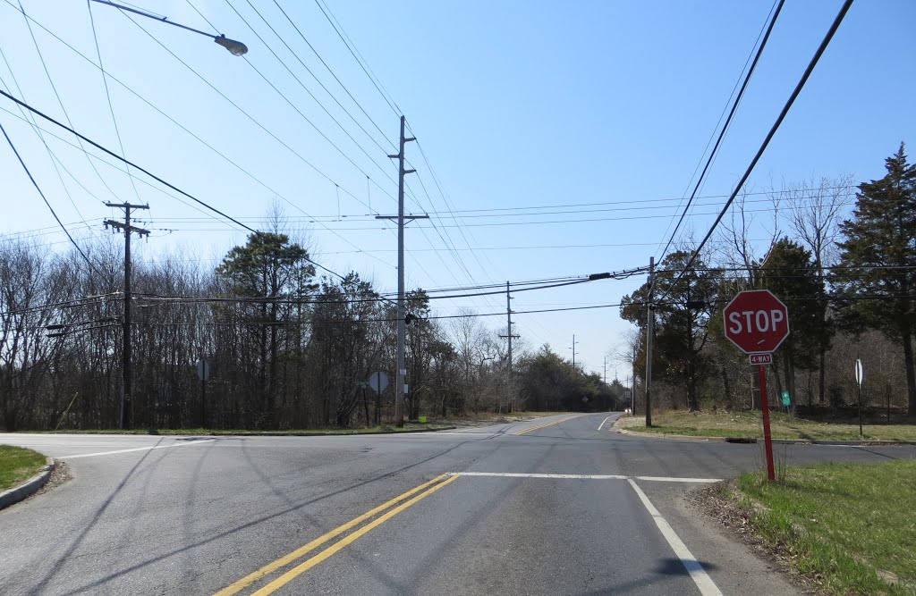 Tuckerton Road by Adam Elmquist