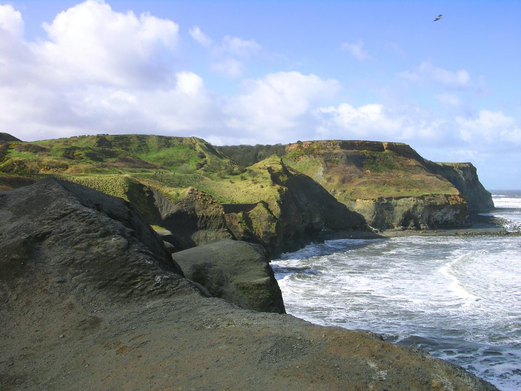 The Jurassic Coast by Jim Evans (AXOTA)