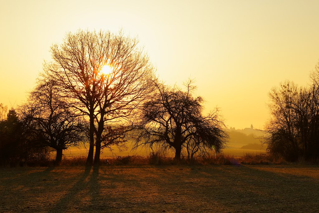 Sunrise in Fischbach by Kinyanjui Hager