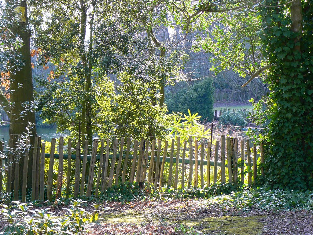 Crystal Palace Park, London by Mihalec Hedvig