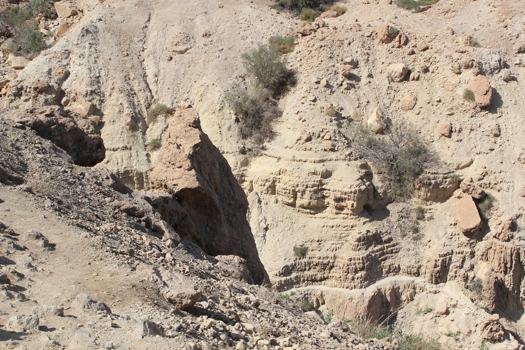 A canyon in Ein Gedi by Genet