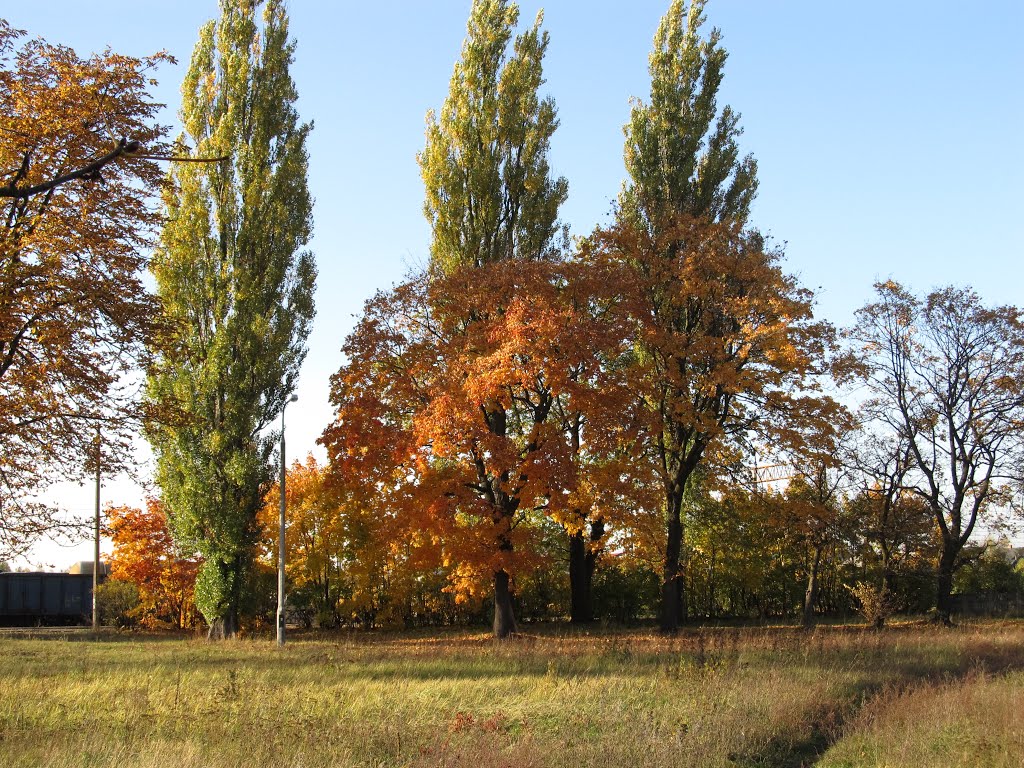 Płock Radziwie. by Pelczarek