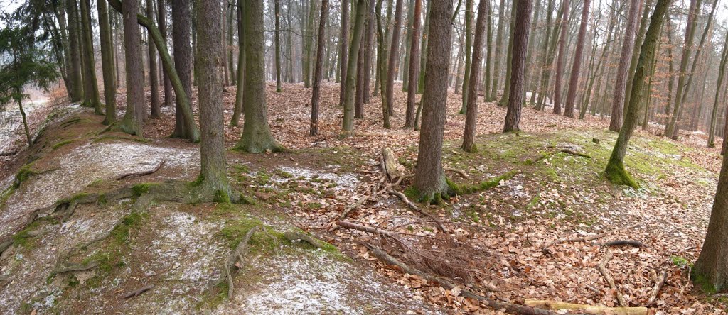 Römisches Limes-Kleinkastell Hunnenkirchhof 1 (03/2013) by Astrodoc