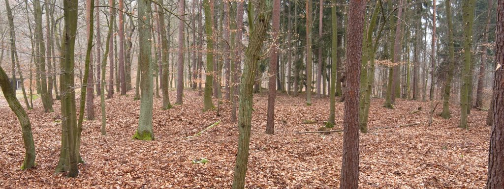 Römisches Limes-Kleinkastell Hunnenkirchhof 1 (03/2013) by Astrodoc