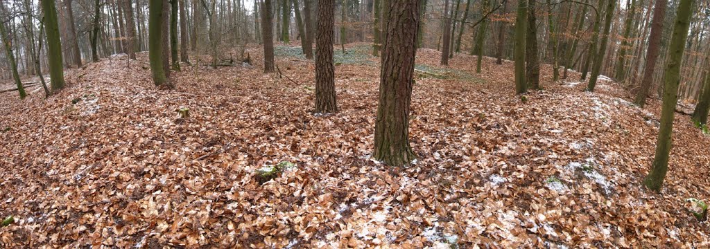 Römisches Limes-Kleinkastell Hunnenkirchhof 2 (03/2013) by Astrodoc