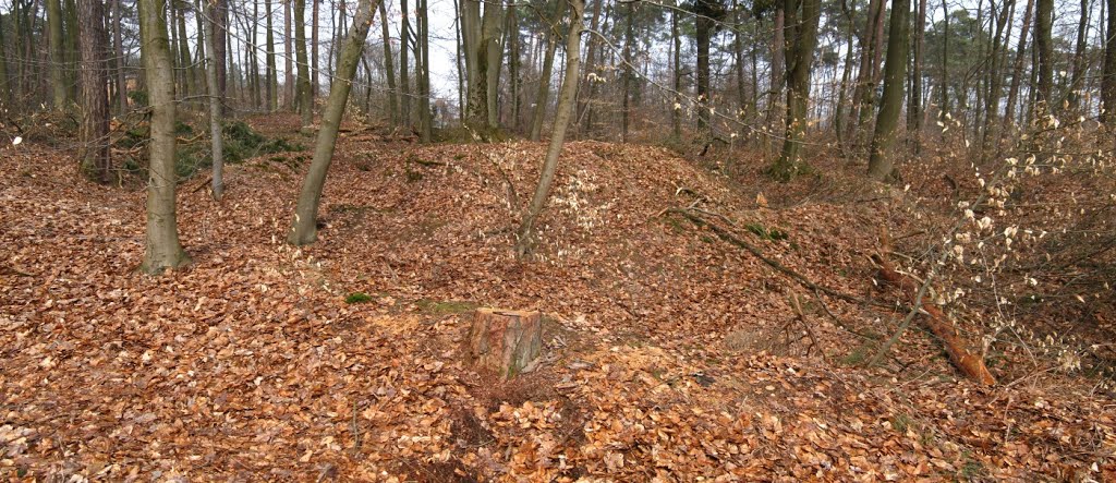 Römischer Limes-Wachtposten (WP 4/33*) und Kleinkastell Am Schrenzer (03/2013) by Astrodoc