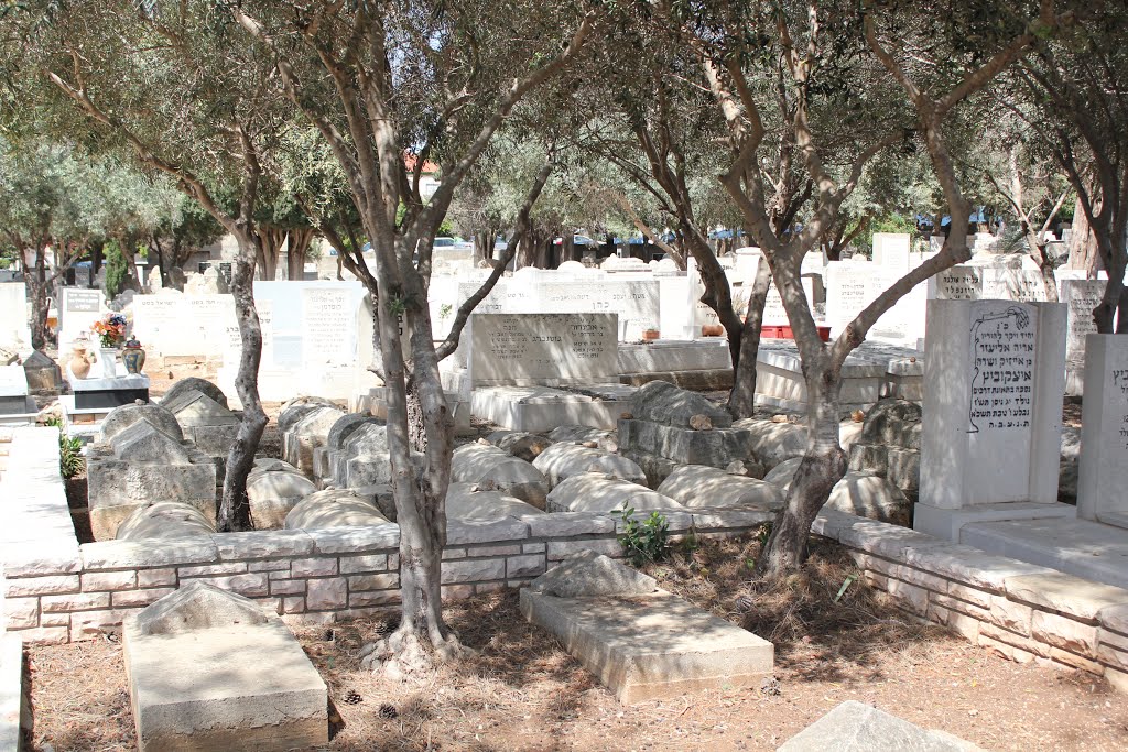 Zihron Yakov cemetery by Genet